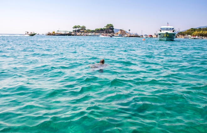 Kareta obecná (Caretta caretta)