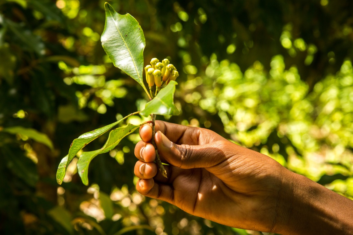 Najstaršie islamské stavby východnej Afriky? V Kizimkazi