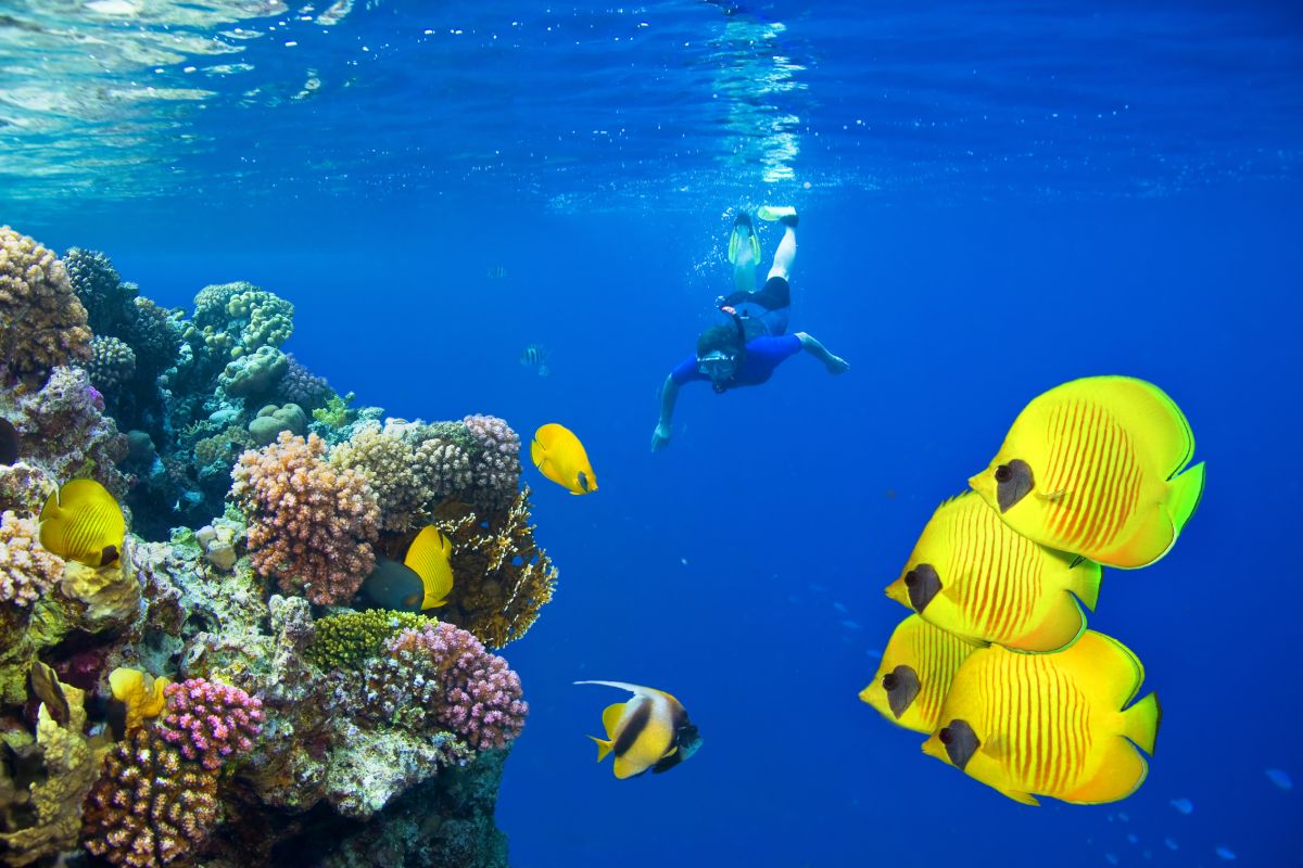 Sharm El Sheikh: púšť, more a koralové útesy