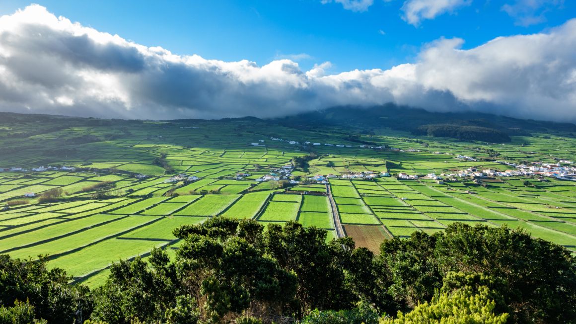 H2 - Terceira