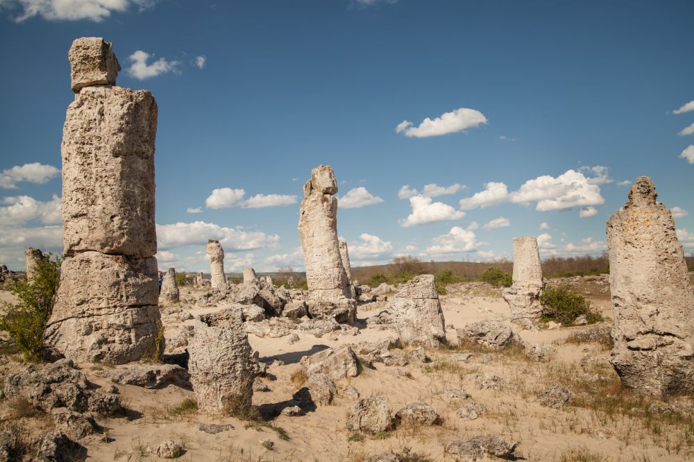 Kamenný les pri Varne