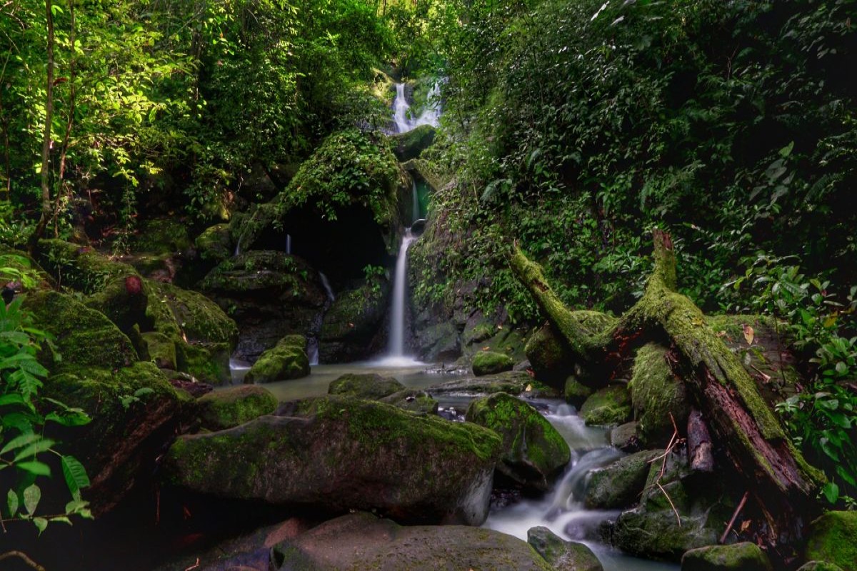 Národný park Soberanía, Panama
