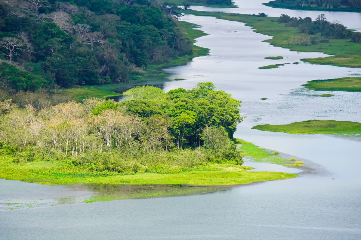 Národný park Soberanía, Panama