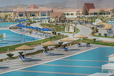 Pickalbatros Albatros Morský svet