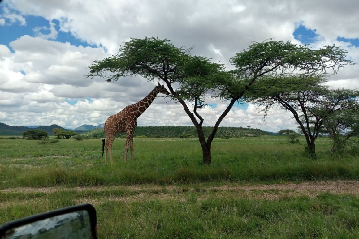 Dobrodružstvo medzi africkou divočinou v prírodnej rezervácii Shaba